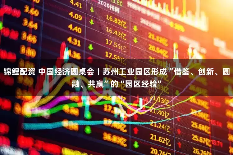 锦鲤配资 中国经济圆桌会丨苏州工业园区形成“借鉴、创新、圆融、共赢”的“园区经验”