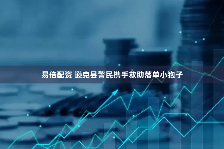易倍配资 逊克县警民携手救助落单小狍子