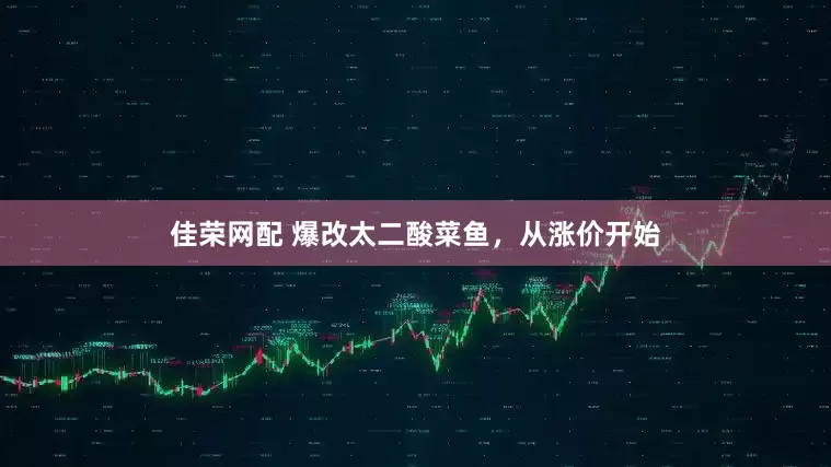 佳荣网配 爆改太二酸菜鱼，从涨价开始