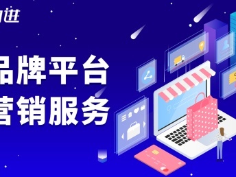 广州加进平台商城系统开发品牌平台营销PC手机公众号小程序设计